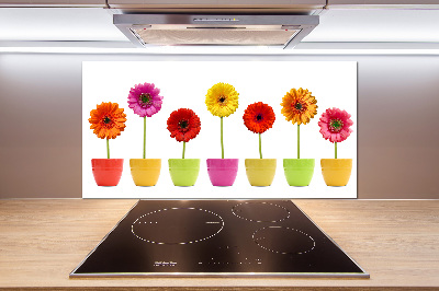 Verre pour crédence Gerberas colorés