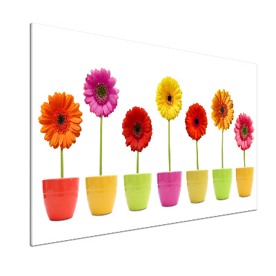 Verre pour crédence Gerberas colorés