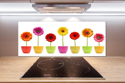 Verre pour crédence Gerberas colorés