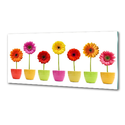 Verre pour crédence Gerberas colorés