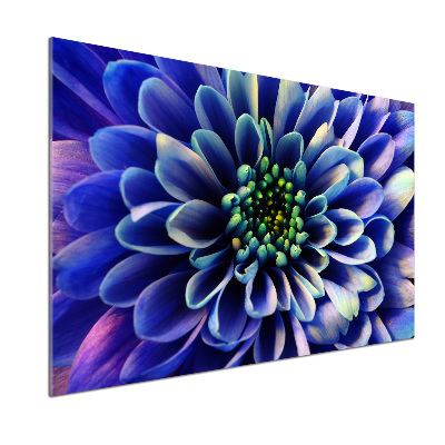 Crédence en verre trempé Aster