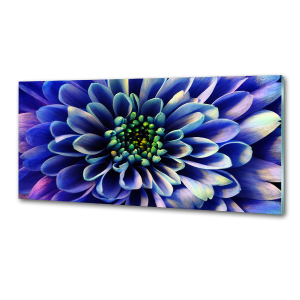 Crédence en verre trempé Aster