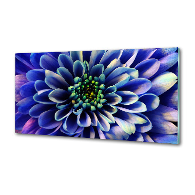 Crédence en verre trempé Aster