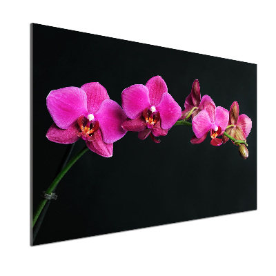 Crédence en verre avec motif Fleur de l'orchidée