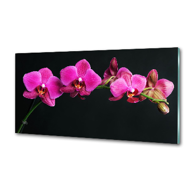 Crédence en verre avec motif Fleur de l'orchidée