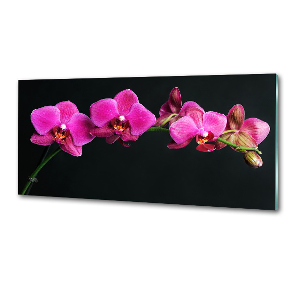 Crédence en verre avec motif Fleur de l'orchidée