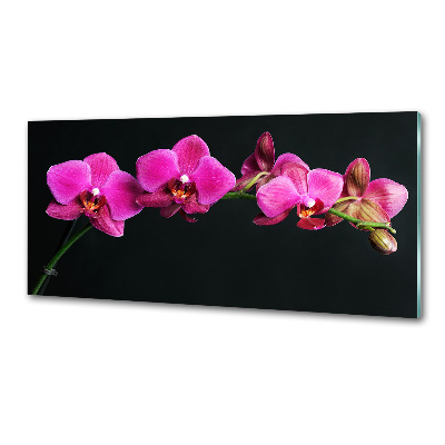 Crédence en verre avec motif Fleur de l'orchidée
