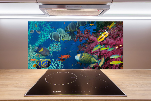 Panneau crédence cuisine Récif de corail