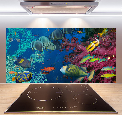 Panneau crédence cuisine Récif de corail