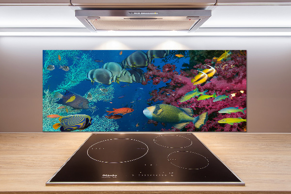 Panneau crédence cuisine Récif de corail
