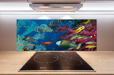 Panneau crédence cuisine Récif de corail