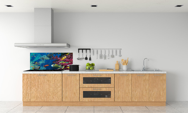 Panneau crédence cuisine Récif de corail