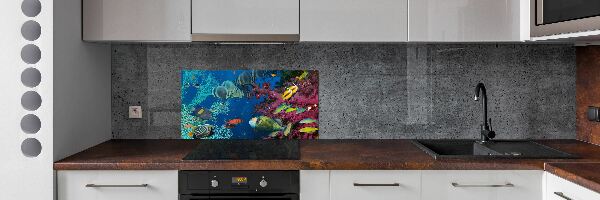 Panneau crédence cuisine Récif de corail