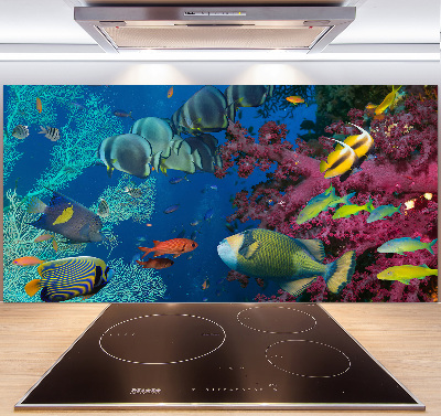 Panneau crédence cuisine Récif de corail