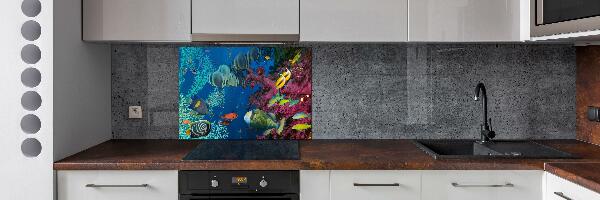 Panneau crédence cuisine Récif de corail