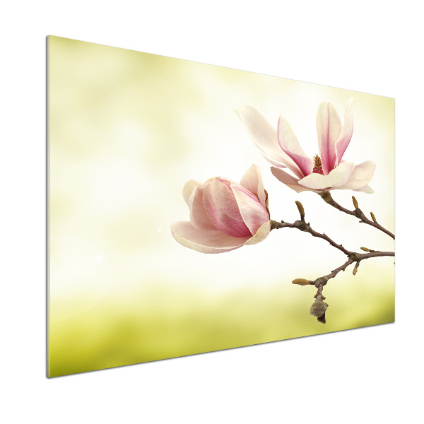 Crédence en verre trempé Magnolia