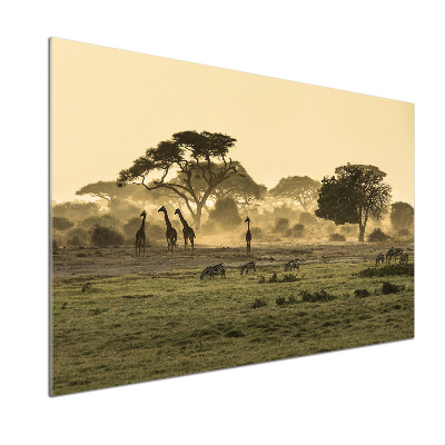 Panneau pour cuisine Girafes dans la savane