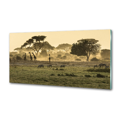 Panneau pour cuisine Girafes dans la savane