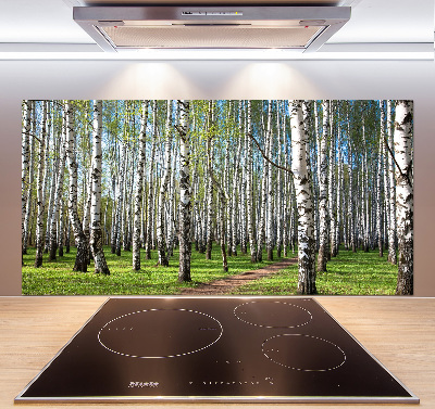 Crédence cuisine en verre trempé Forêt de bouleaux