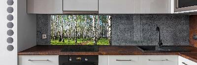 Crédence cuisine en verre trempé Forêt de bouleaux