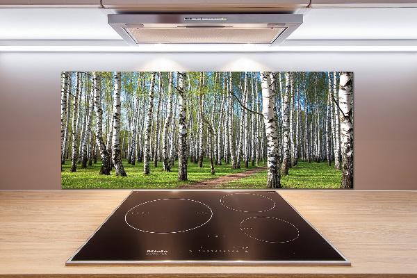 Crédence cuisine en verre trempé Forêt de bouleaux