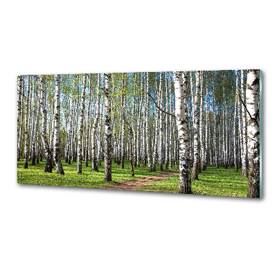 Crédence cuisine en verre trempé Forêt de bouleaux