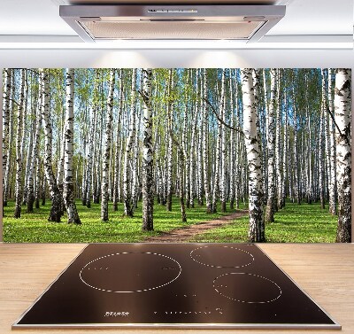Crédence cuisine en verre trempé Forêt de bouleaux