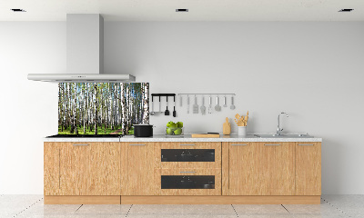 Crédence cuisine en verre trempé Forêt de bouleaux