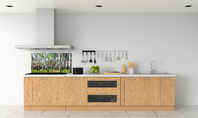 Crédence cuisine en verre trempé Forêt de bouleaux