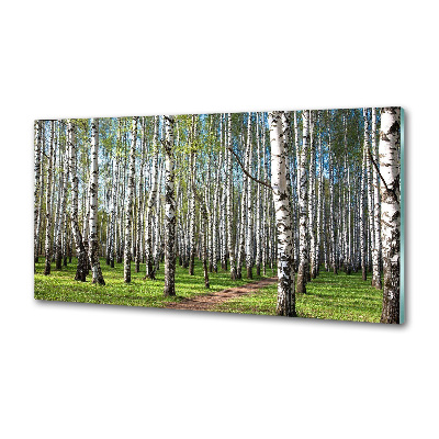 Crédence cuisine en verre trempé Forêt de bouleaux
