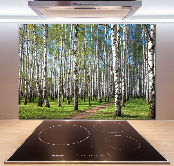 Crédence cuisine en verre trempé Forêt de bouleaux