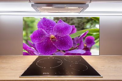 Panneau pour cuisine Fleur d'orchidée