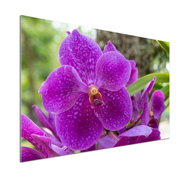 Panneau pour cuisine Fleur d'orchidée