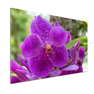Panneau pour cuisine Fleur d'orchidée