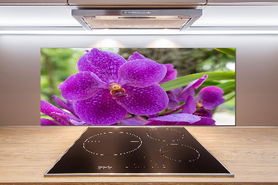 Panneau pour cuisine Fleur d'orchidée