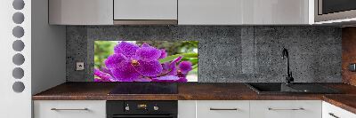 Panneau pour cuisine Fleur d'orchidée