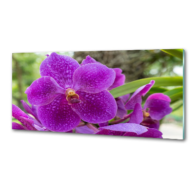 Panneau pour cuisine Fleur d'orchidée