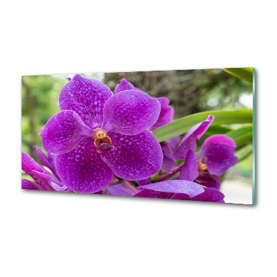 Panneau pour cuisine Fleur d'orchidée
