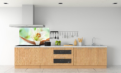 Crédence cuisine en verre trempé Lys