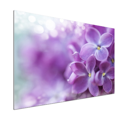 Crédence cuisine en verre Fleurs de lilas