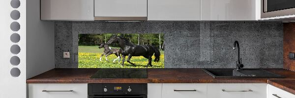 Panneaux muraux cuisine Jument et poulain