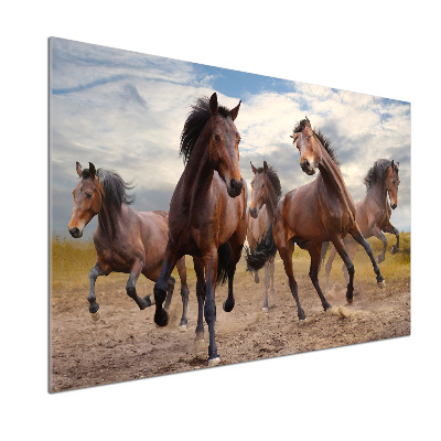 Crédence en verre avec motif Cinq chevaux