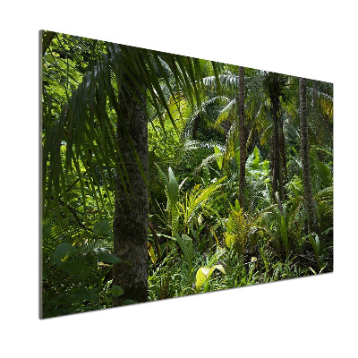 Panneau crédence cuisine Forêt tropicale