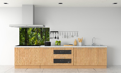 Panneau crédence cuisine Forêt tropicale