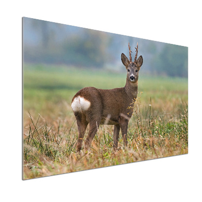 Crédence en verre avec motif Cerf