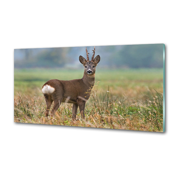 Crédence en verre avec motif Cerf