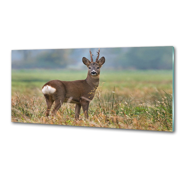 Crédence en verre avec motif Cerf