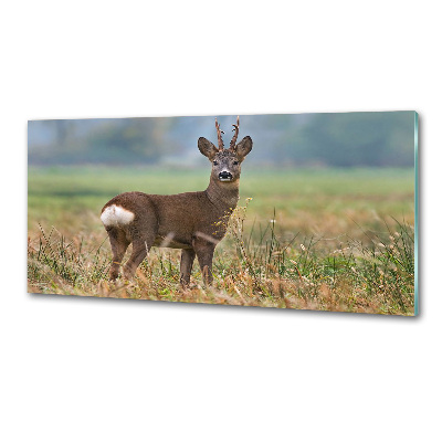 Crédence en verre avec motif Cerf