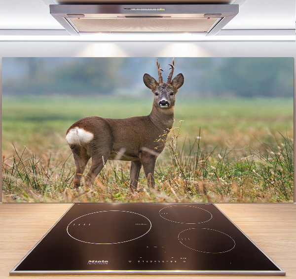 Crédence en verre avec motif Cerf
