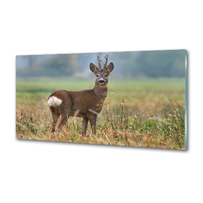 Crédence en verre avec motif Cerf
